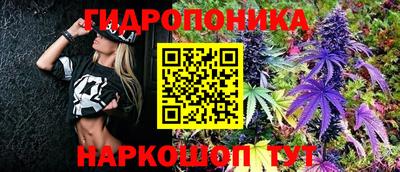 ПСИЛОЦИБИНОВЫЕ ГРИБЫ Лесосибирск