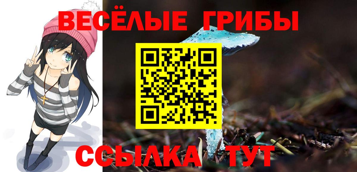 Домодедово  Псилоцибиновые грибы прущие грибы  Вход с VPN 