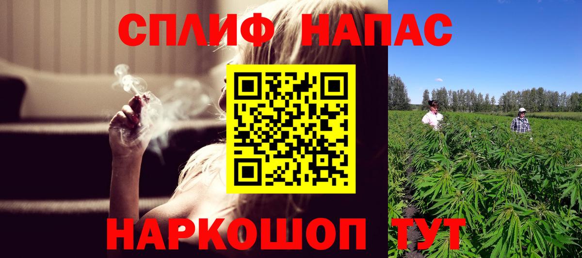 Канабис план Домодедово